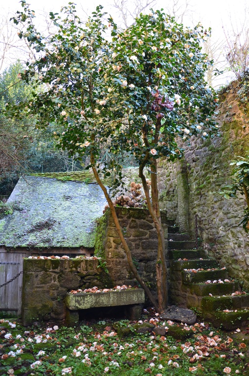 2016-12 France/Dinan/DSC_0117.JPG